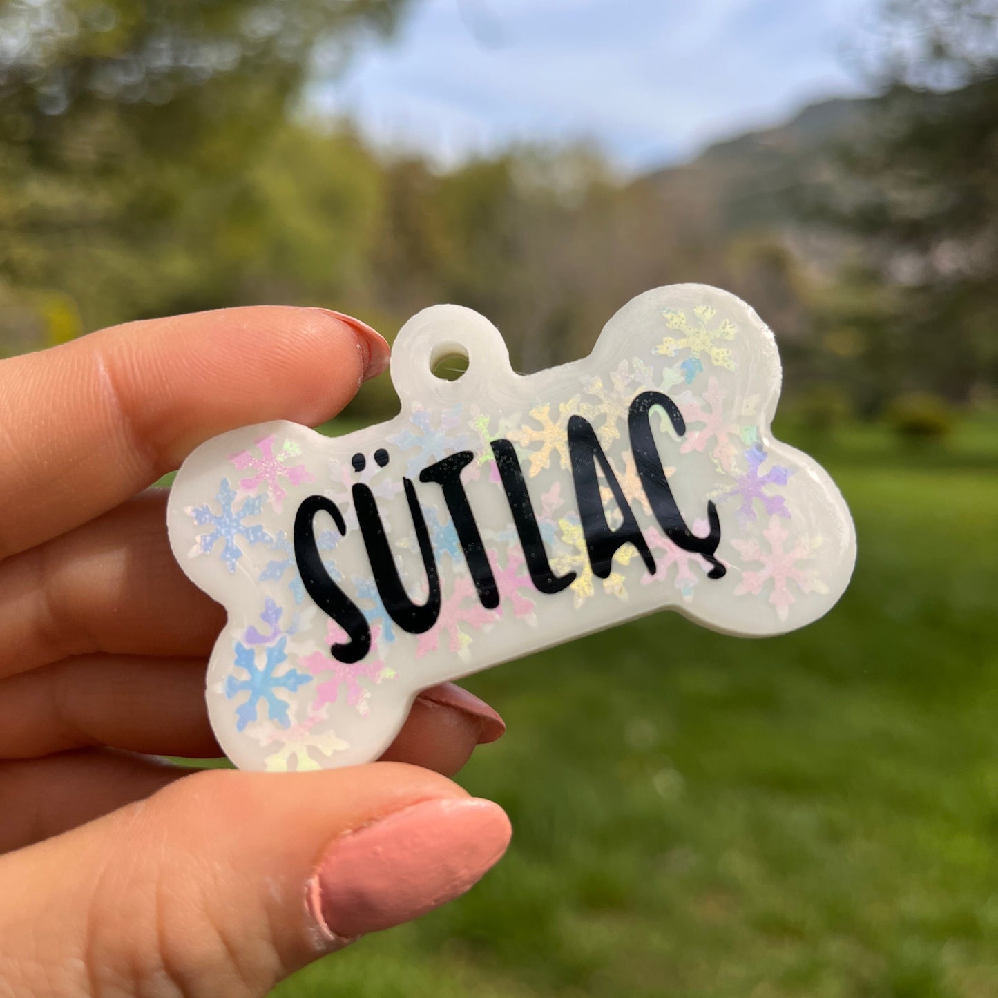 Kar Tanesi Beyaz Renk İsimli Köpek Künyesi