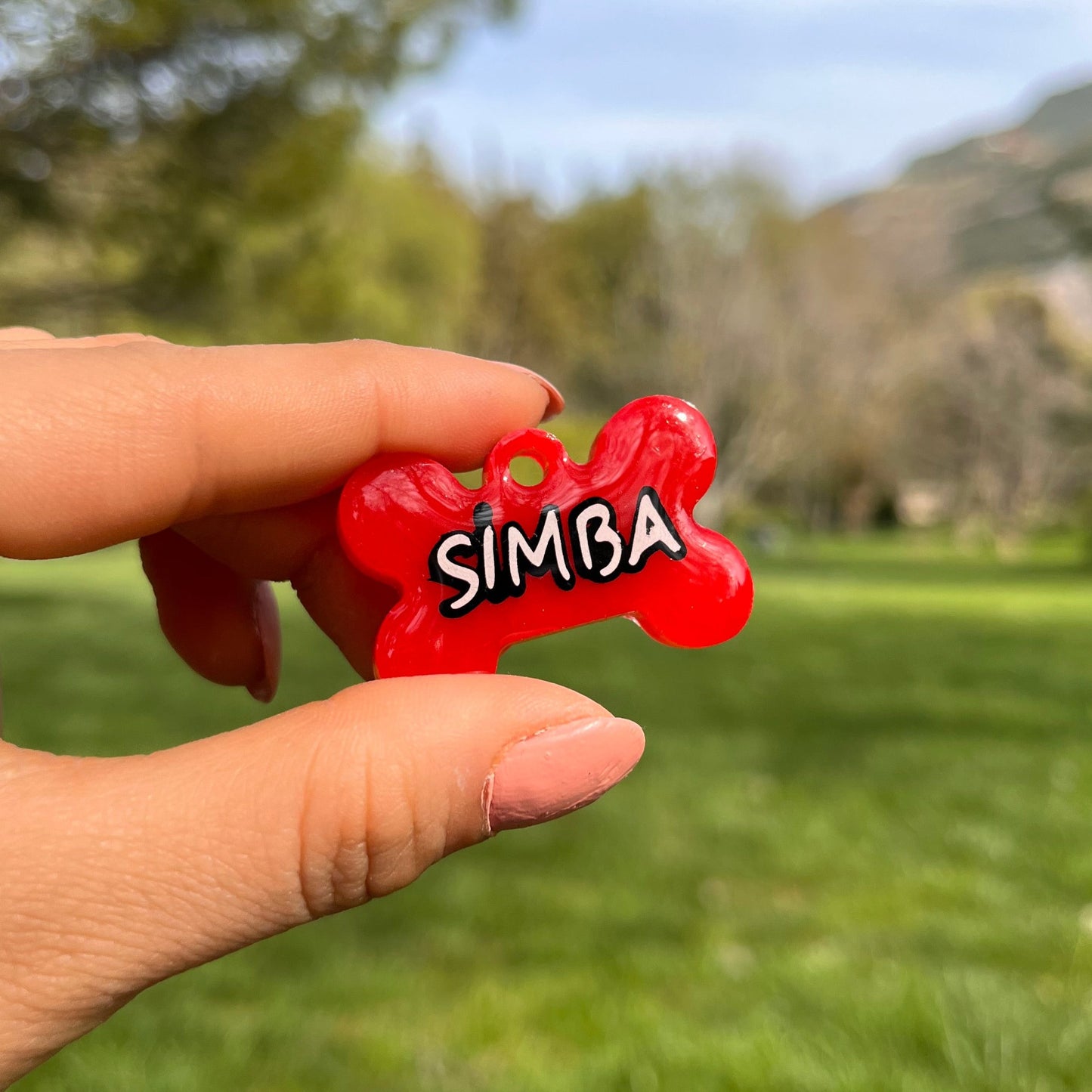 Kırmızı Renk İsimli Köpek Künyesi