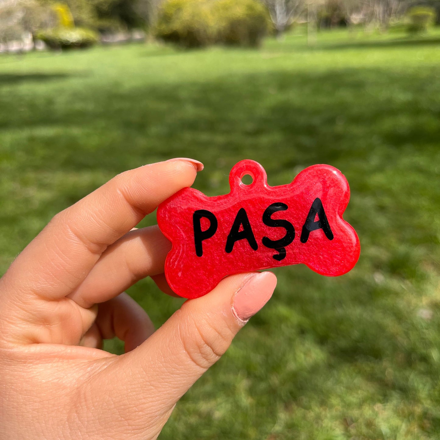 Sedefli Kırmızı Renk İsimli Köpek Künyesi