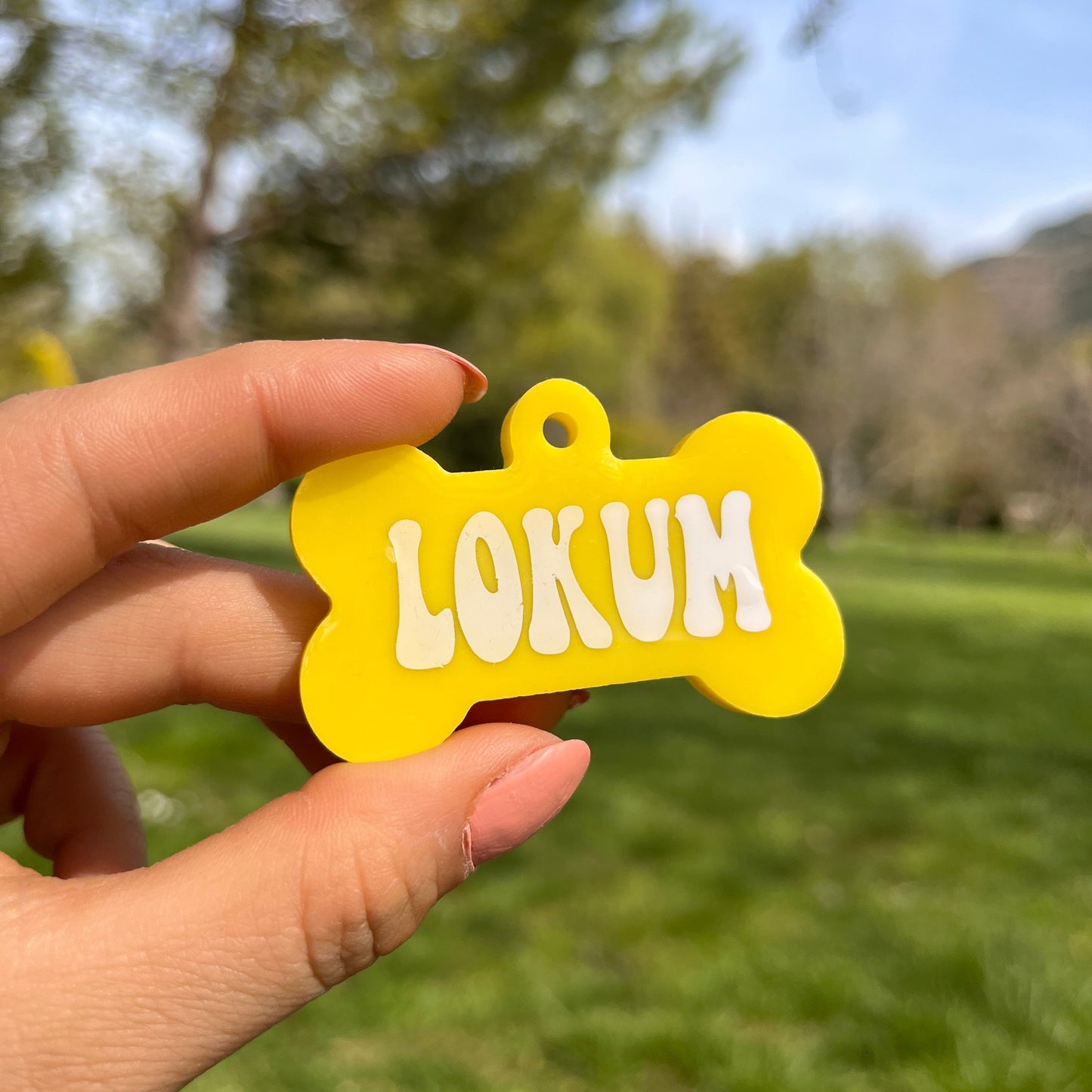 Sarı Renk İsimli Köpek Künyesi