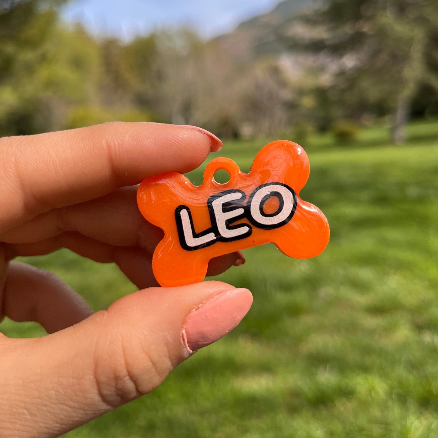 Turuncu Renk İsimli Köpek Künyesi