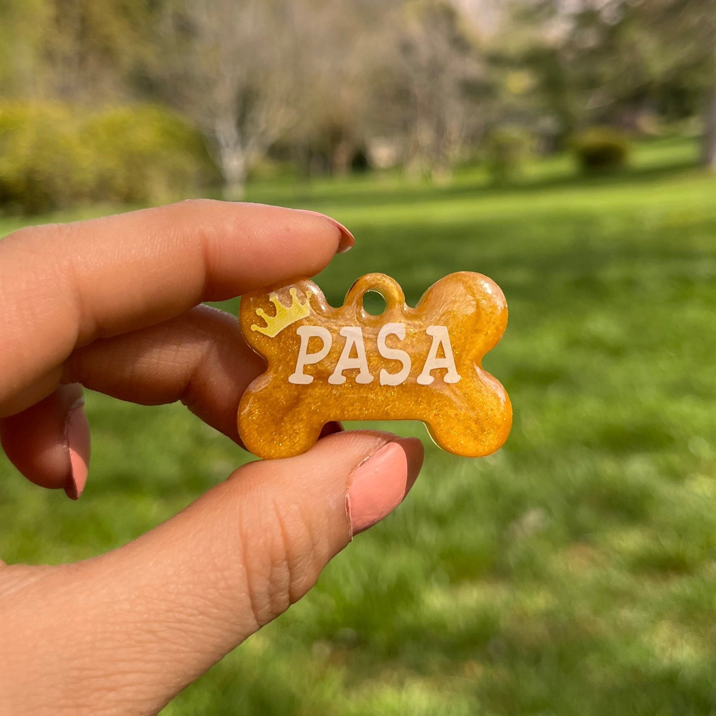 Sedefli Gold Renk İsimli Köpek Künyesi