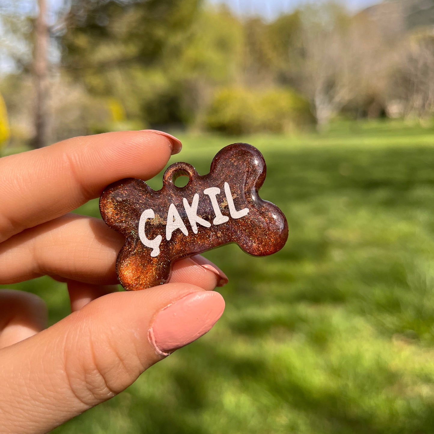 Sedefli Kahverengi Renk İsimli Köpek Künyesi