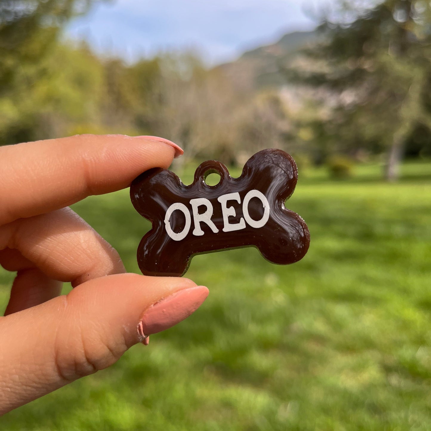 Kahverengi Renk İsimli Köpek Künyesi