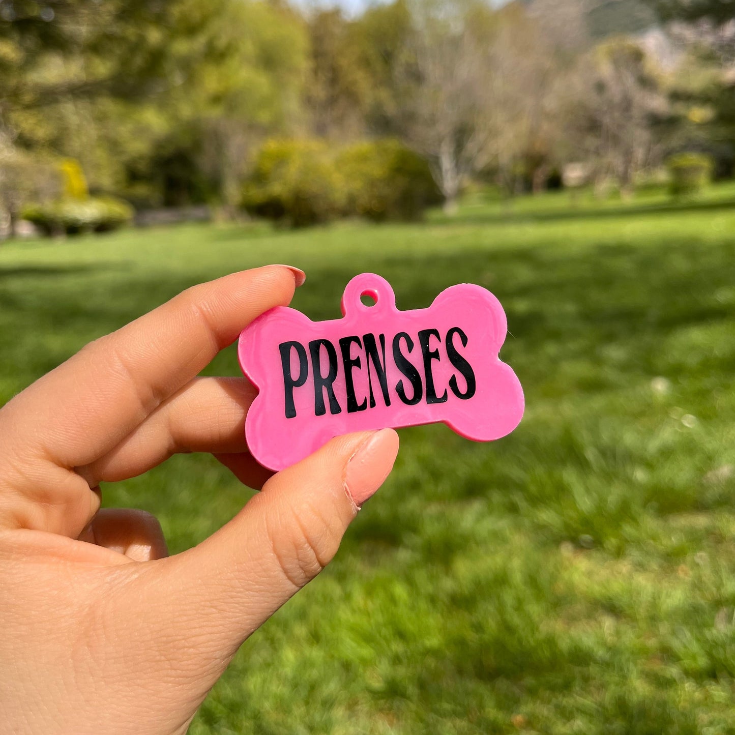 Açık Pembe Renk İsimli Köpek Künyesi