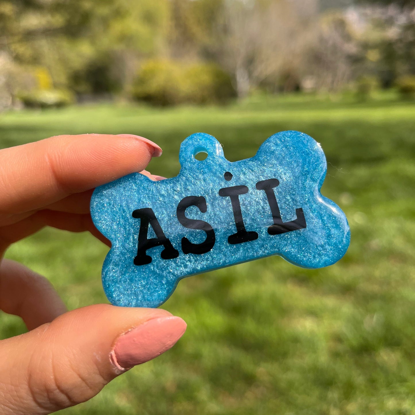 Sedefli Açık Mavi Renk İsimli Kedi Künyesi