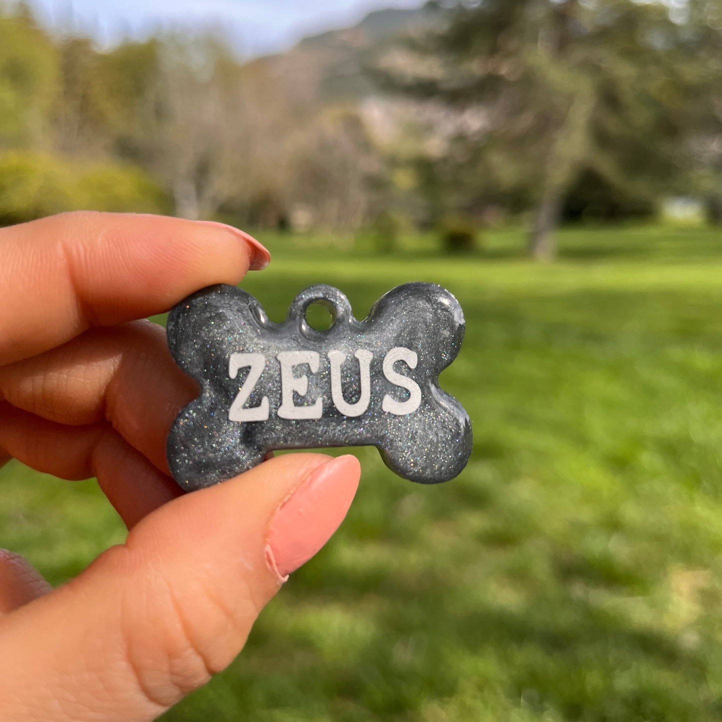 Gri Renk İsimli Kedi Künyesi