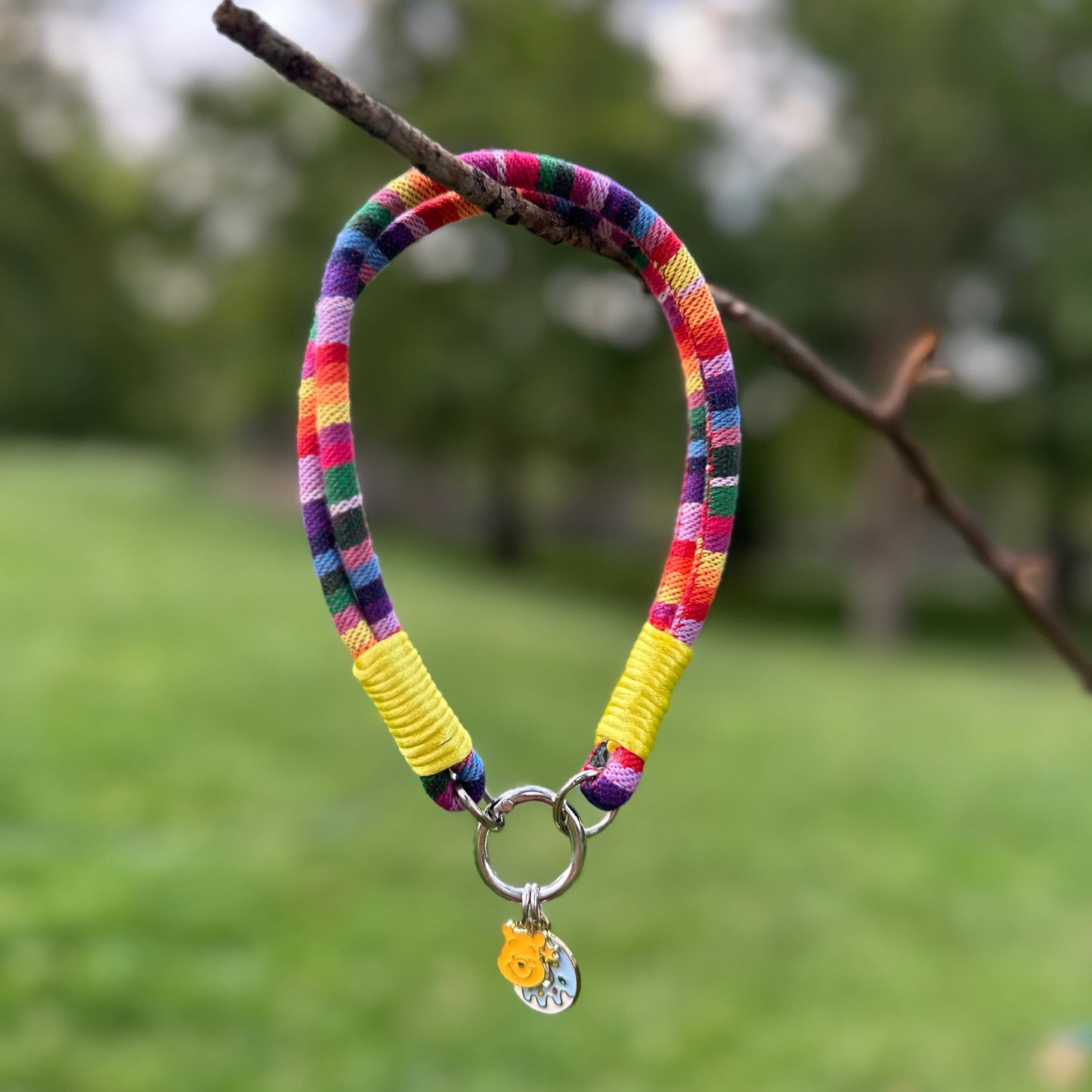 Gökkuşağı Köpek Kolyesi