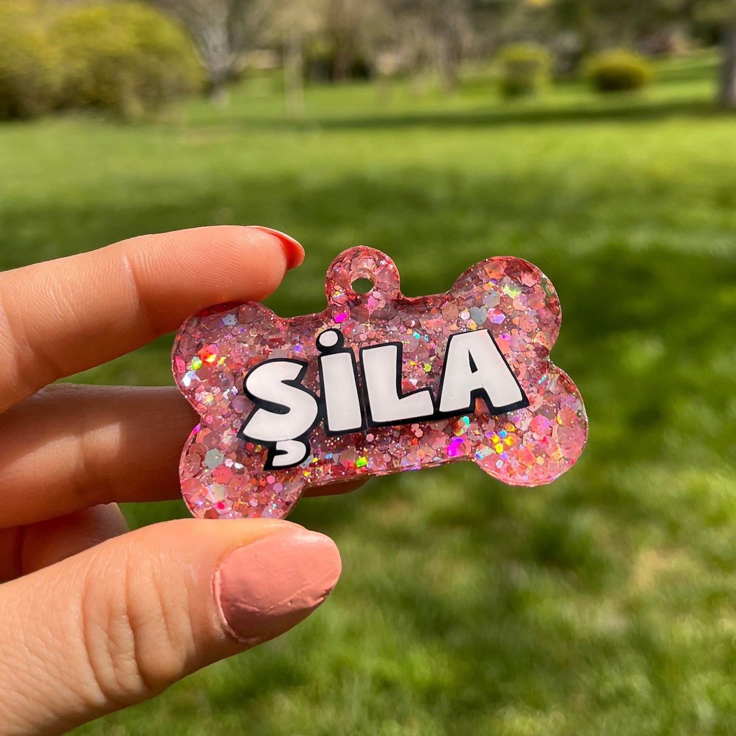 Blush | İsimli Köpek Künyesi