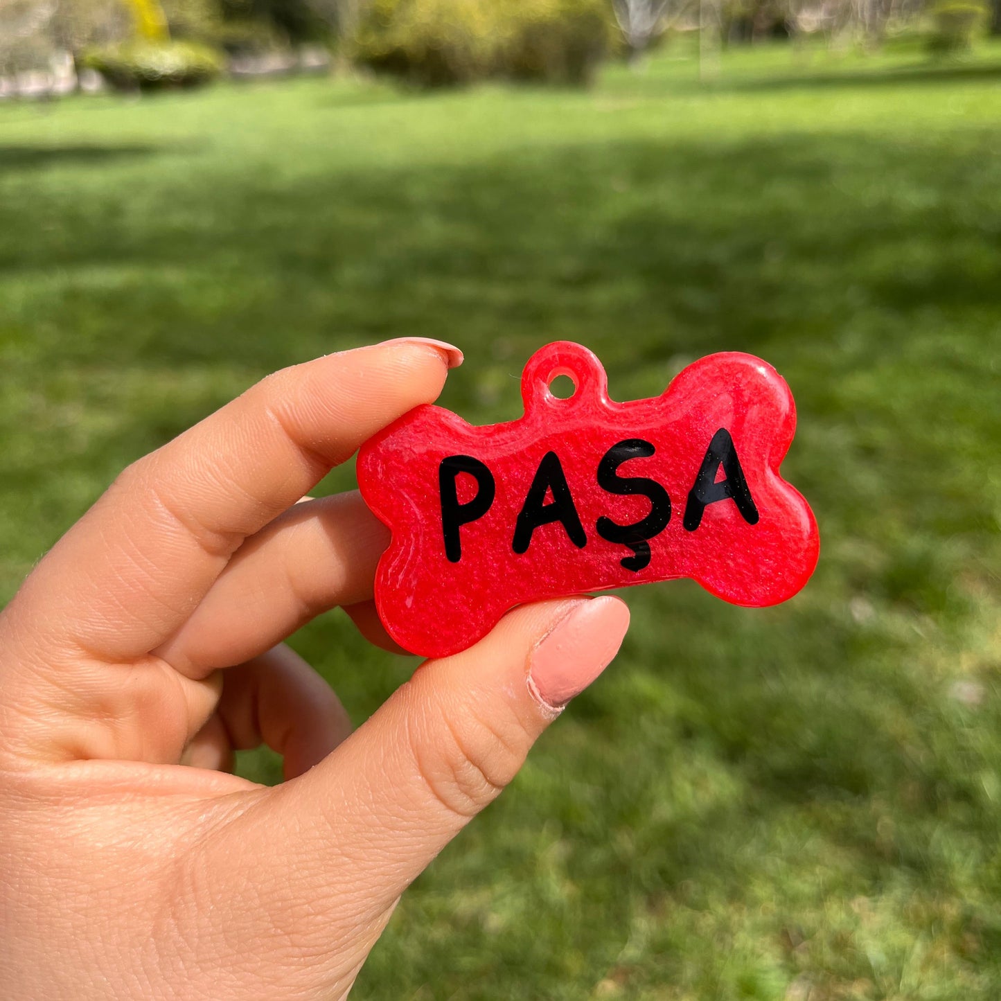 Sedefli Kırmızı Renk İsimli Kedi Künyesi