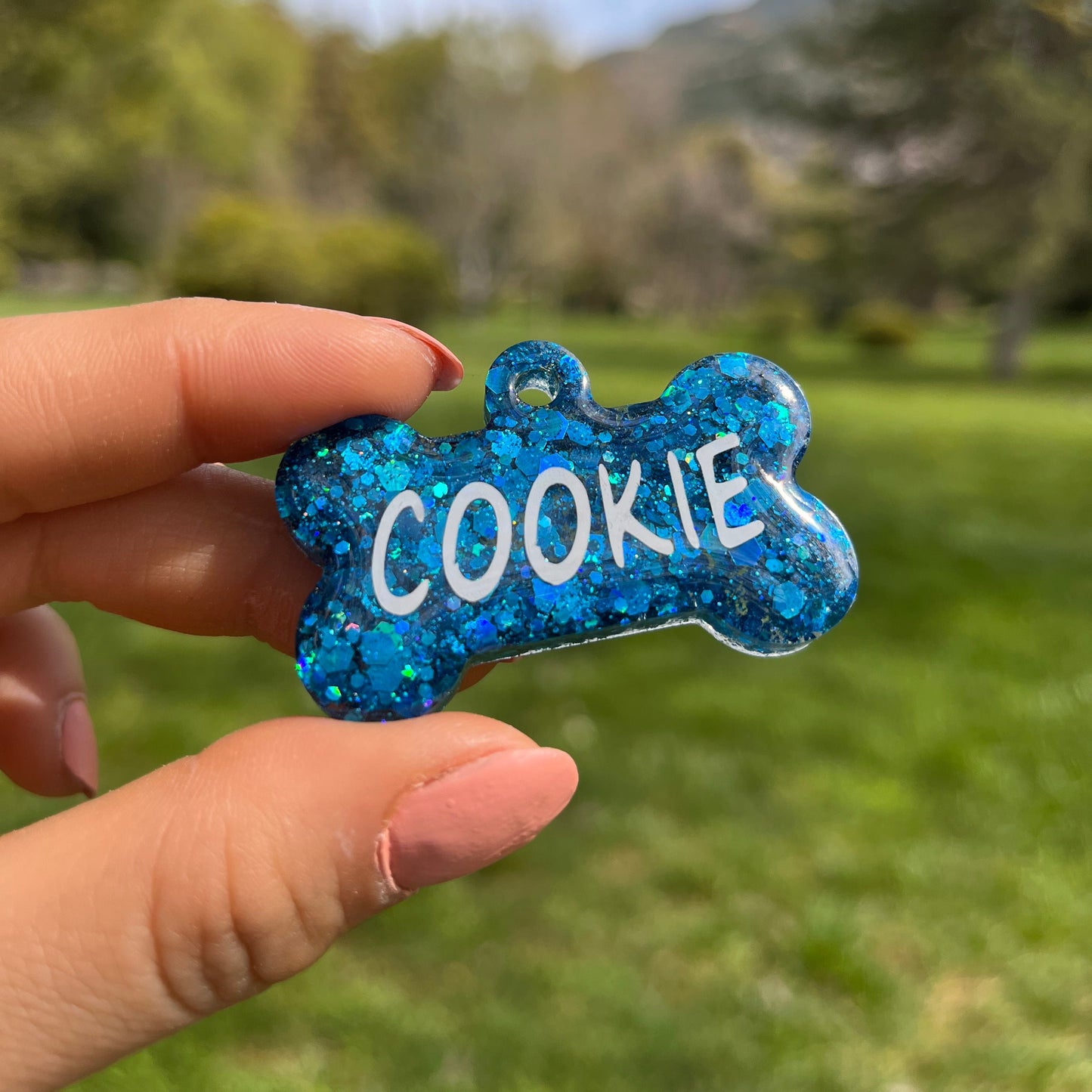 Deniz Mavisi Glitter Renk İsimli Kedi Künyesi