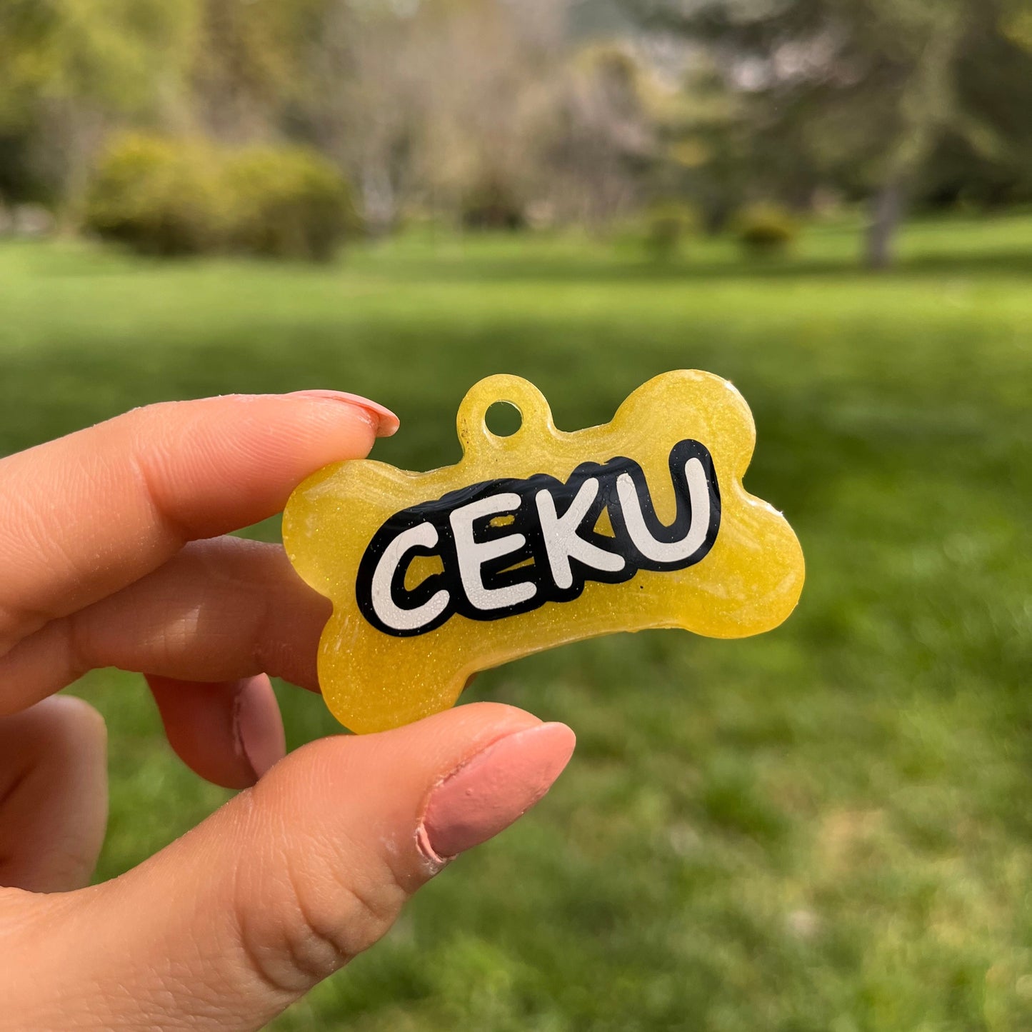 Sedefli Sarı Renk İsimli Kedi Künyesi