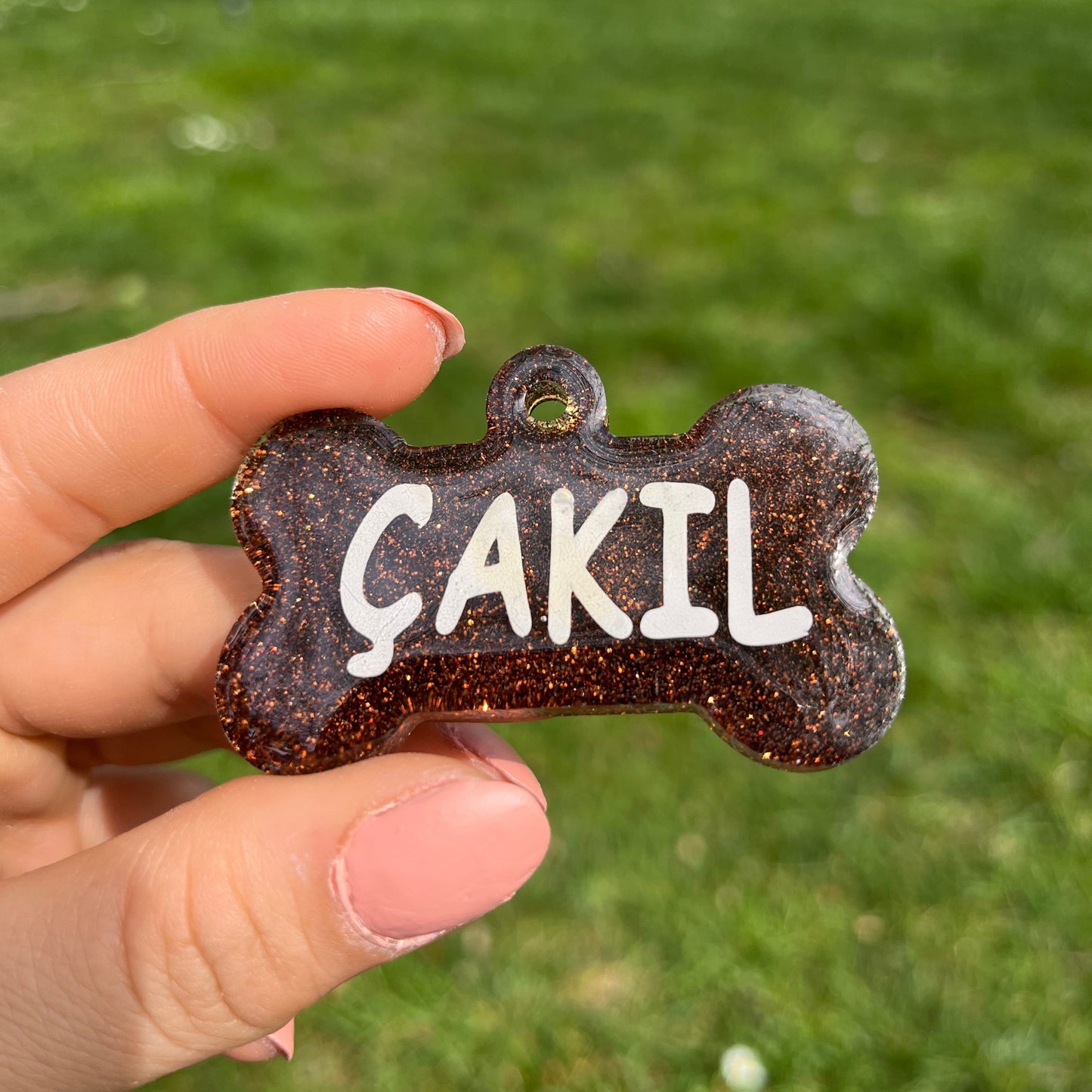 Simli Kahverengi Renk İsimli Kedi Künyesi