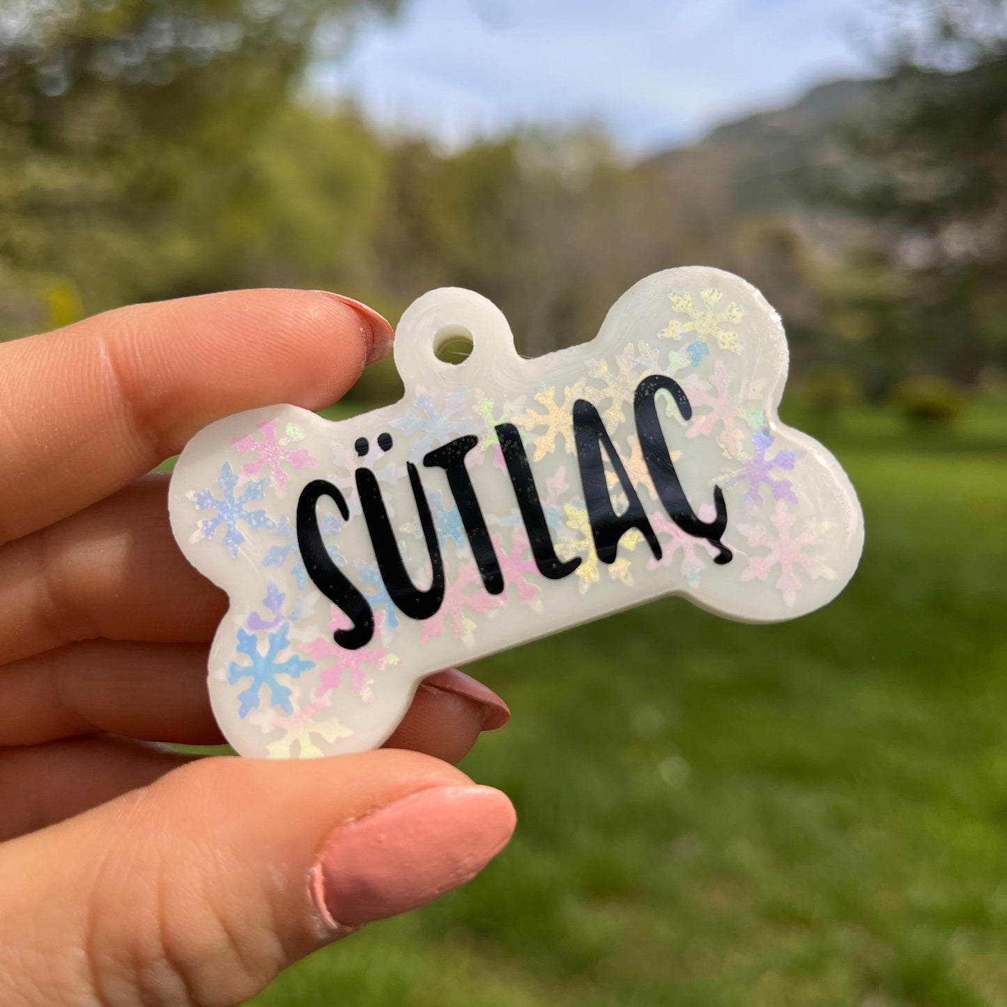 Kar Tanesi Beyaz Renk İsimli Kedi Künyesi