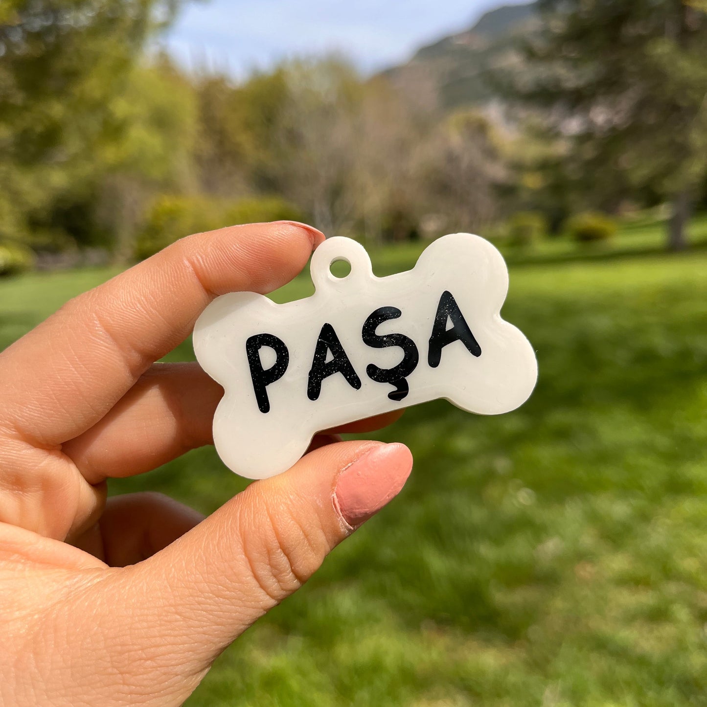 Beyaz Renk İsimli Kedi Künyesi