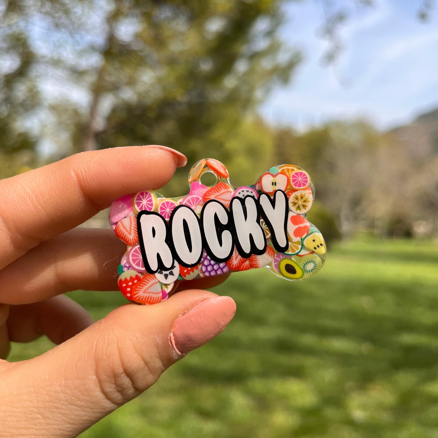 Karışık Meyve Süslü İsimli Kedi Künyesi