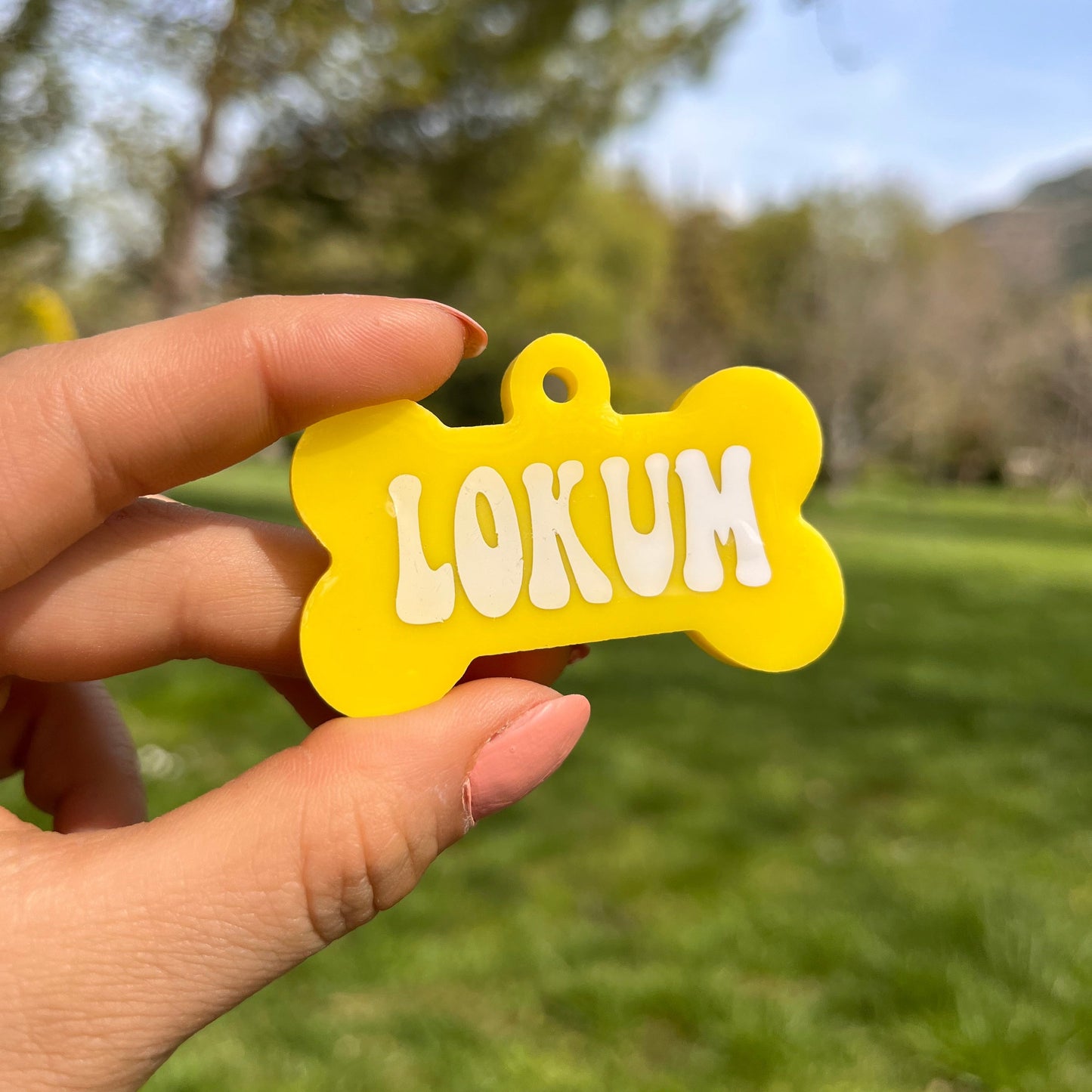 Sarı Renk İsimli Kedi Künyesi