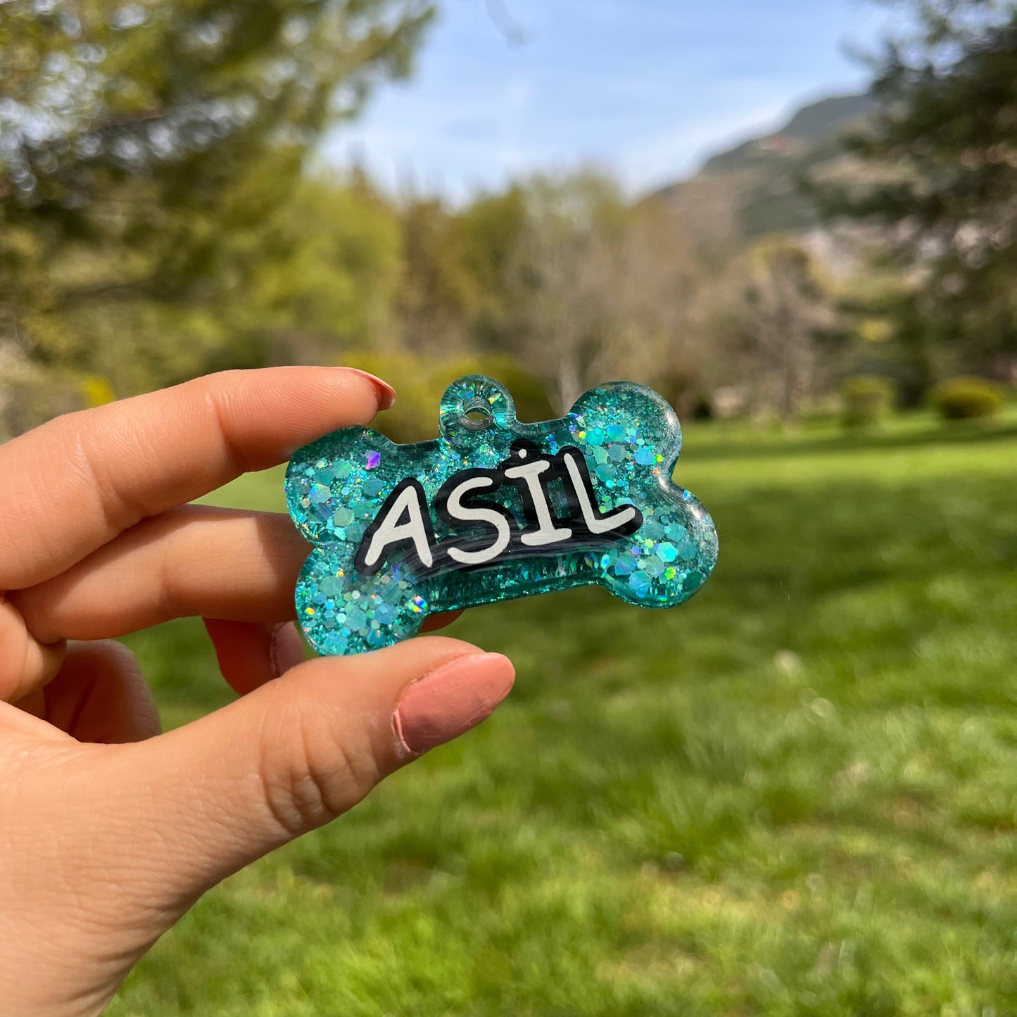 Turkuaz Glitter Renk İsimli Kedi Künyesi