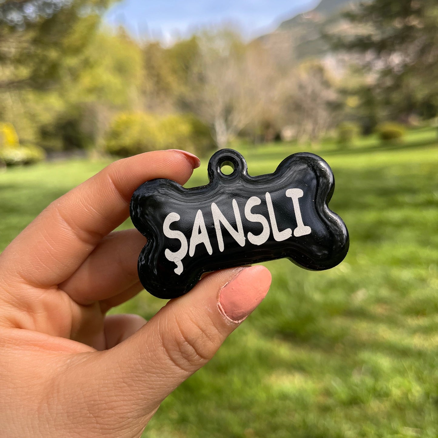 Siyah Renk İsimli Kedi Künyesi