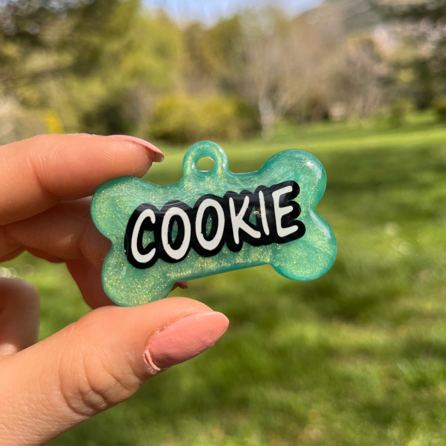 Sedefli Yeşil Renk İsimli Kedi Künyesi