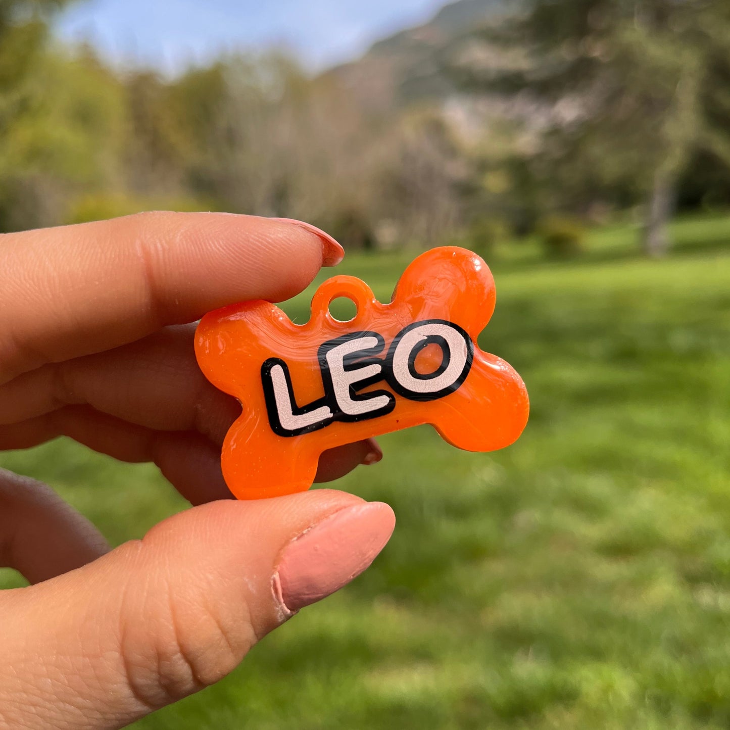 Turuncu Renk İsimli Kedi Künyesi