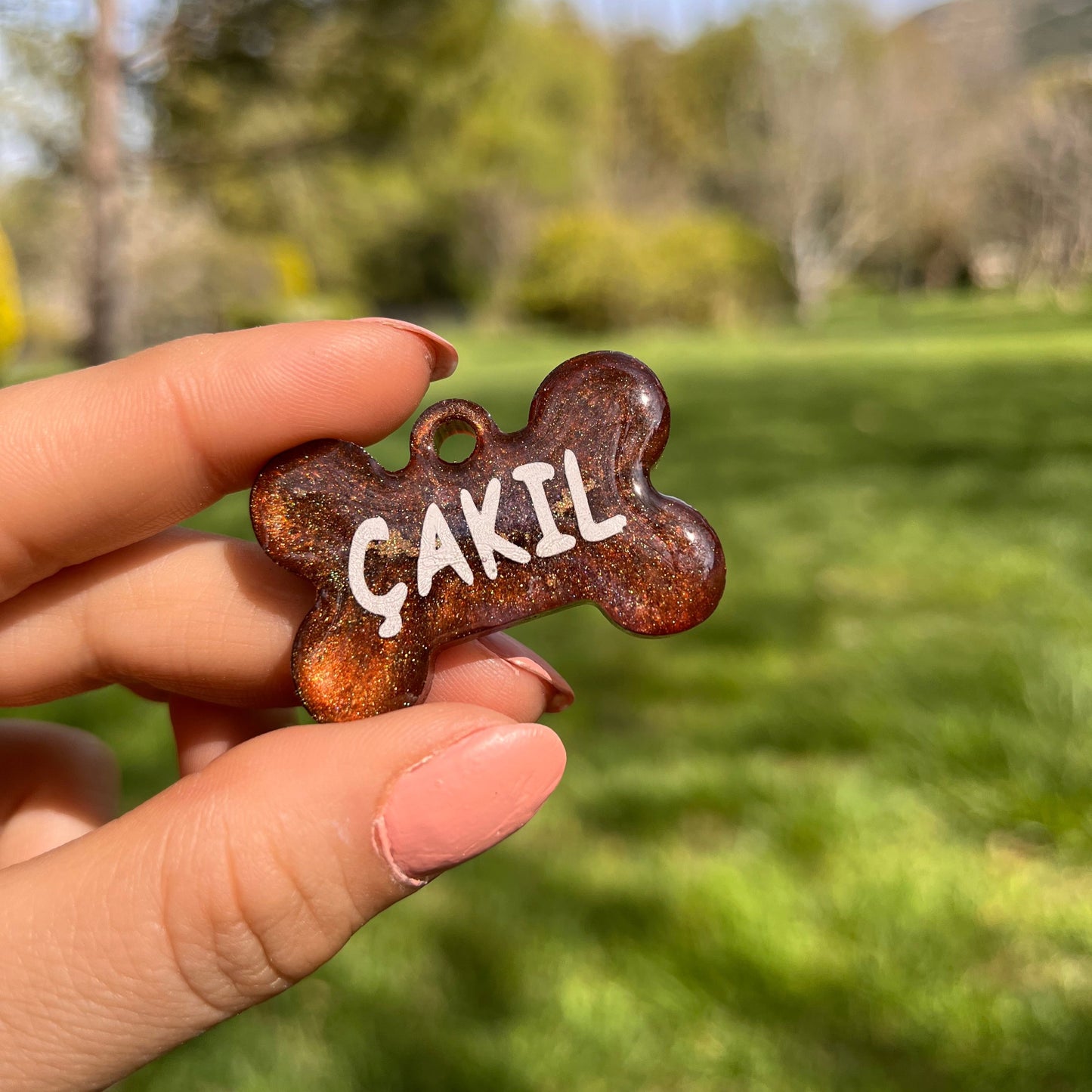 Sedefli Kahverengi Renk İsimli Kedi Künyesi