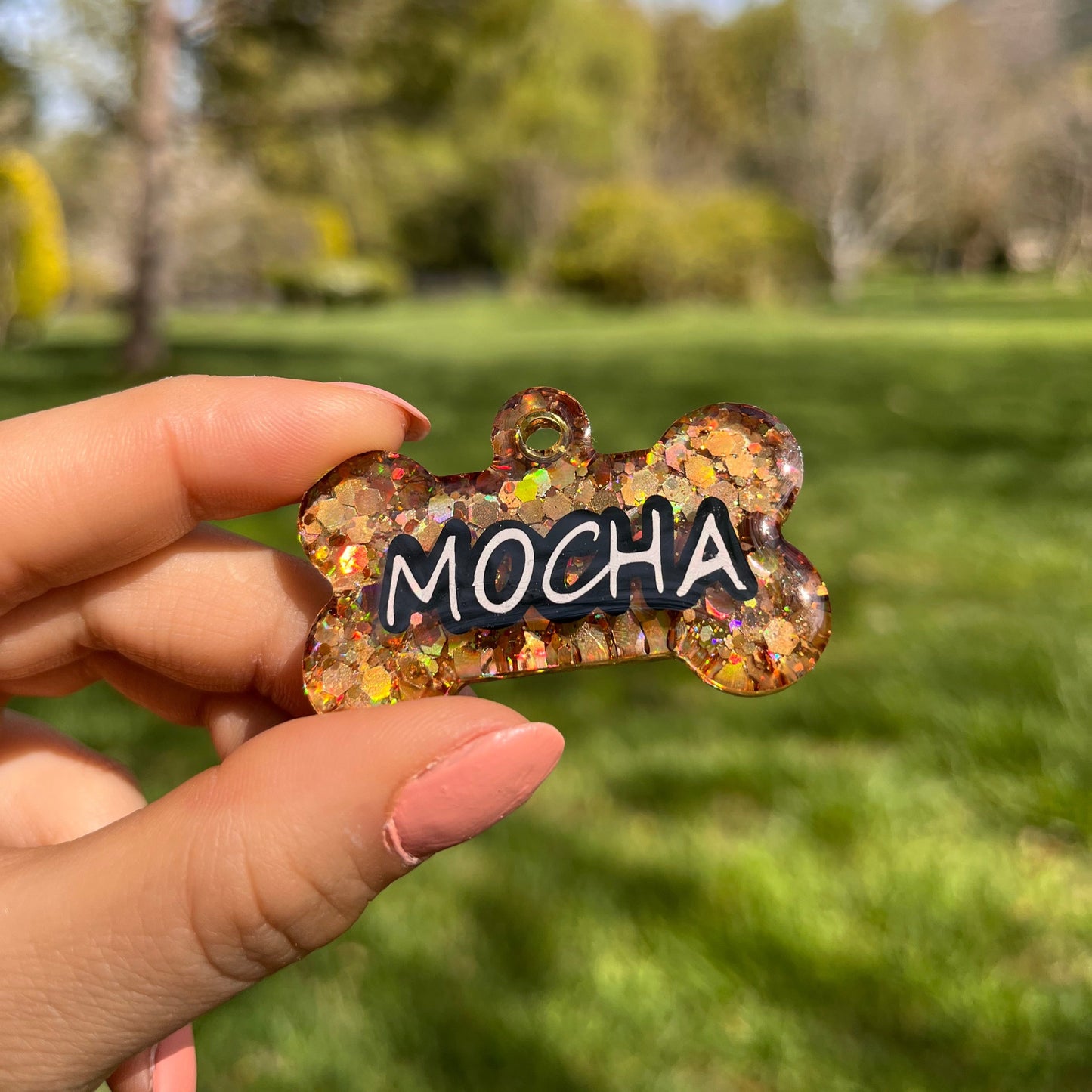 Gold Chunky Glitter Renk İsimli Kedi Künyesi