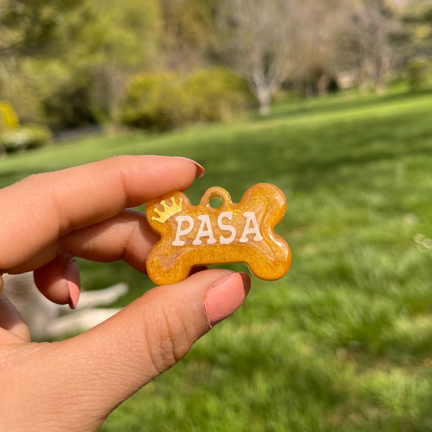 Sedefli Gold Renk İsimli Kedi Künyesi