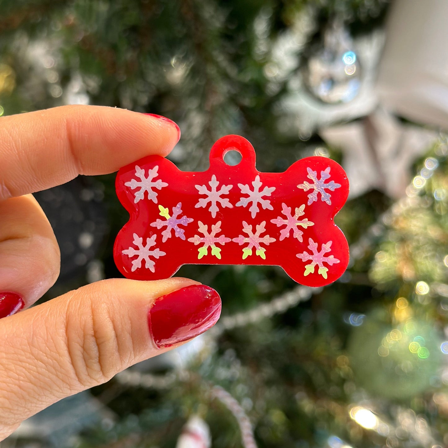 Kar Taneli Kırmızı Renk İsimli Köpek Künyesi