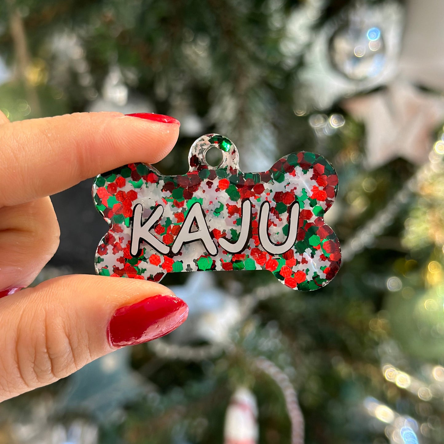 Yılbaşı İsimli Kedi Künyesi 1