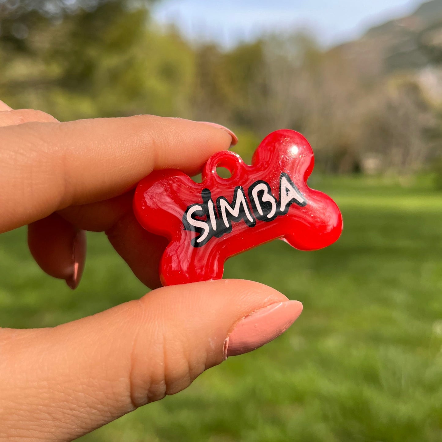 Kırmızı Renk İsimli Kedi Künyesi