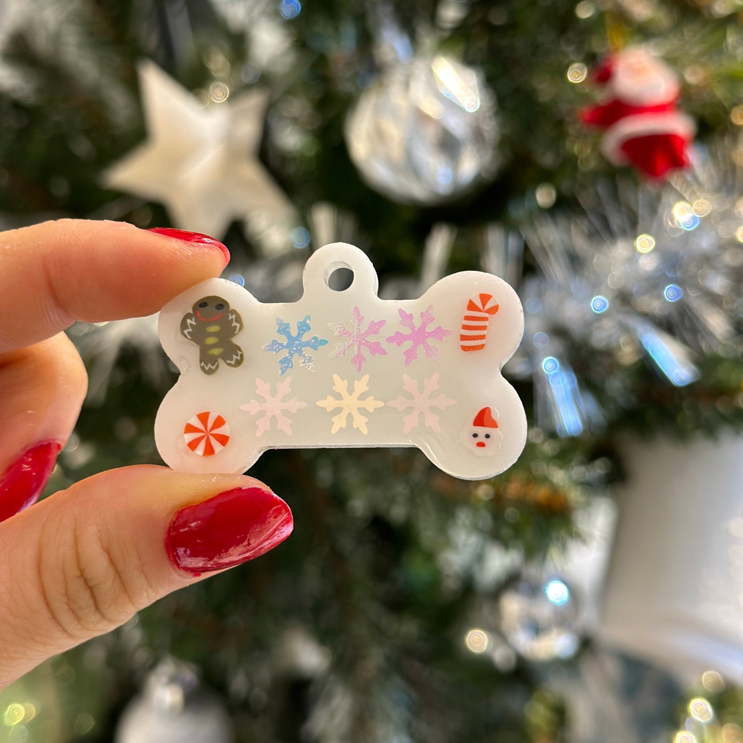 Yılbaşı İsimli Köpek Künyesi 2