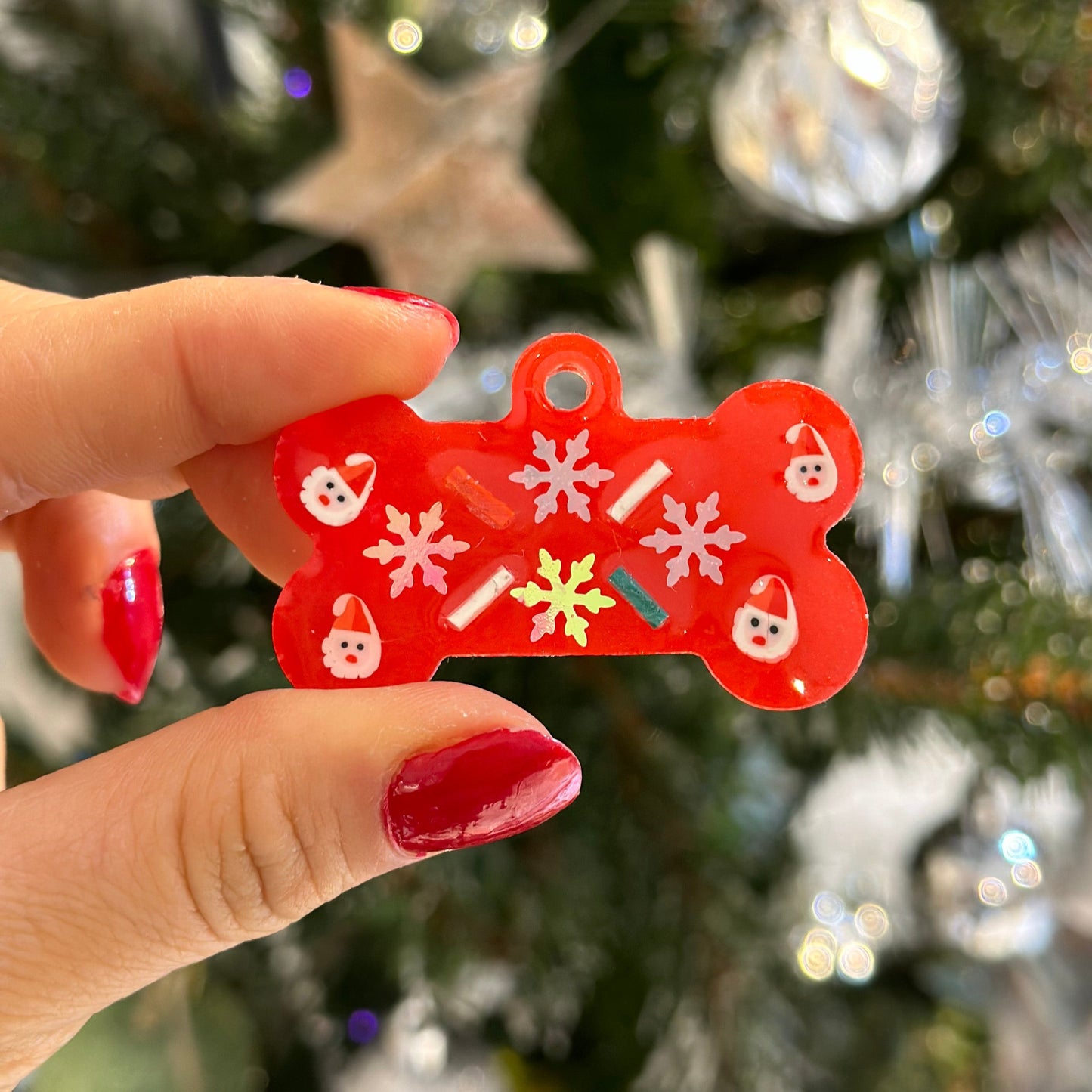 Yılbaşı İsimli Kedi Künyesi 3