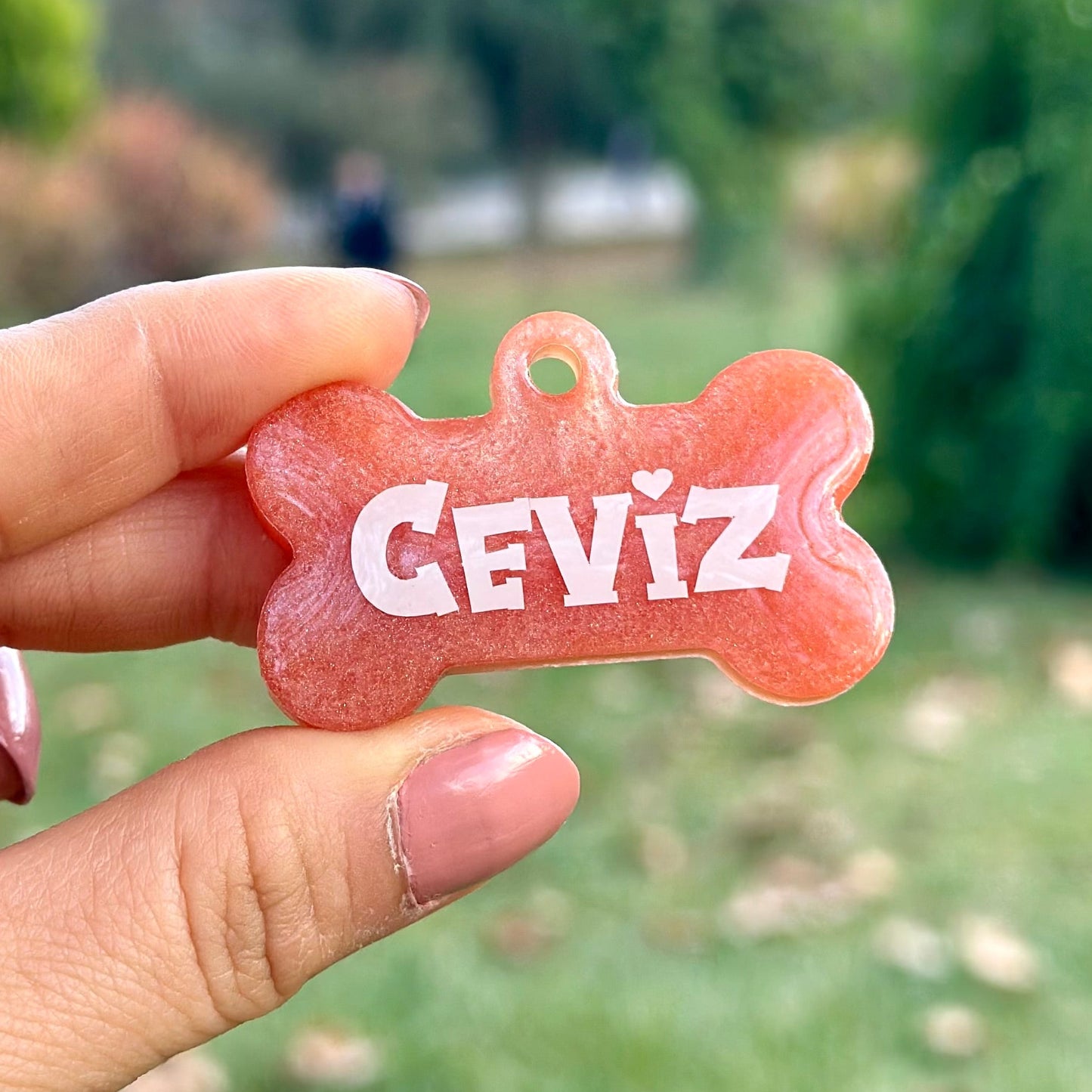 Fairy | İsimli Kedi Künyesi