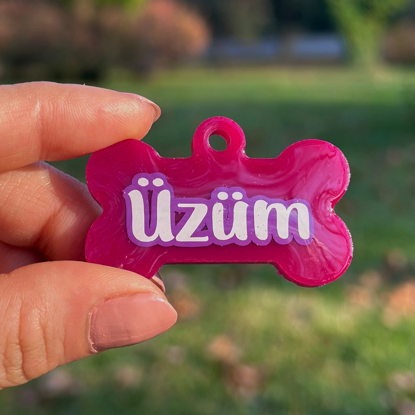 Damson | İsimli Kedi Künyesi