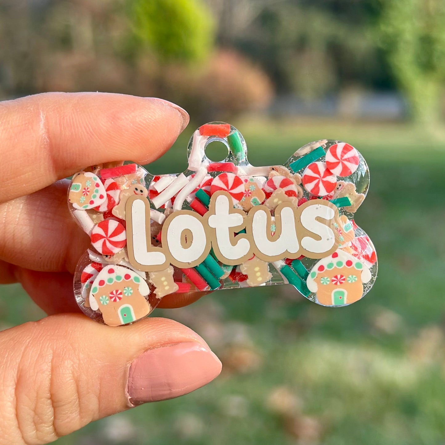 Holly | İsimli Kedi Künyesi