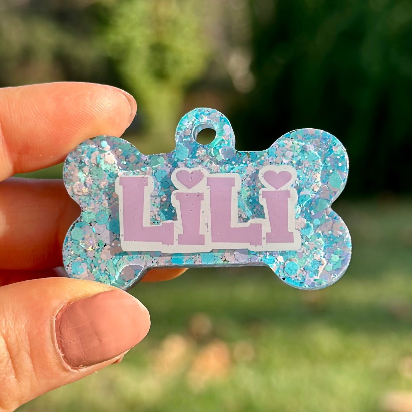 Dream | İsimli Köpek Künyesi