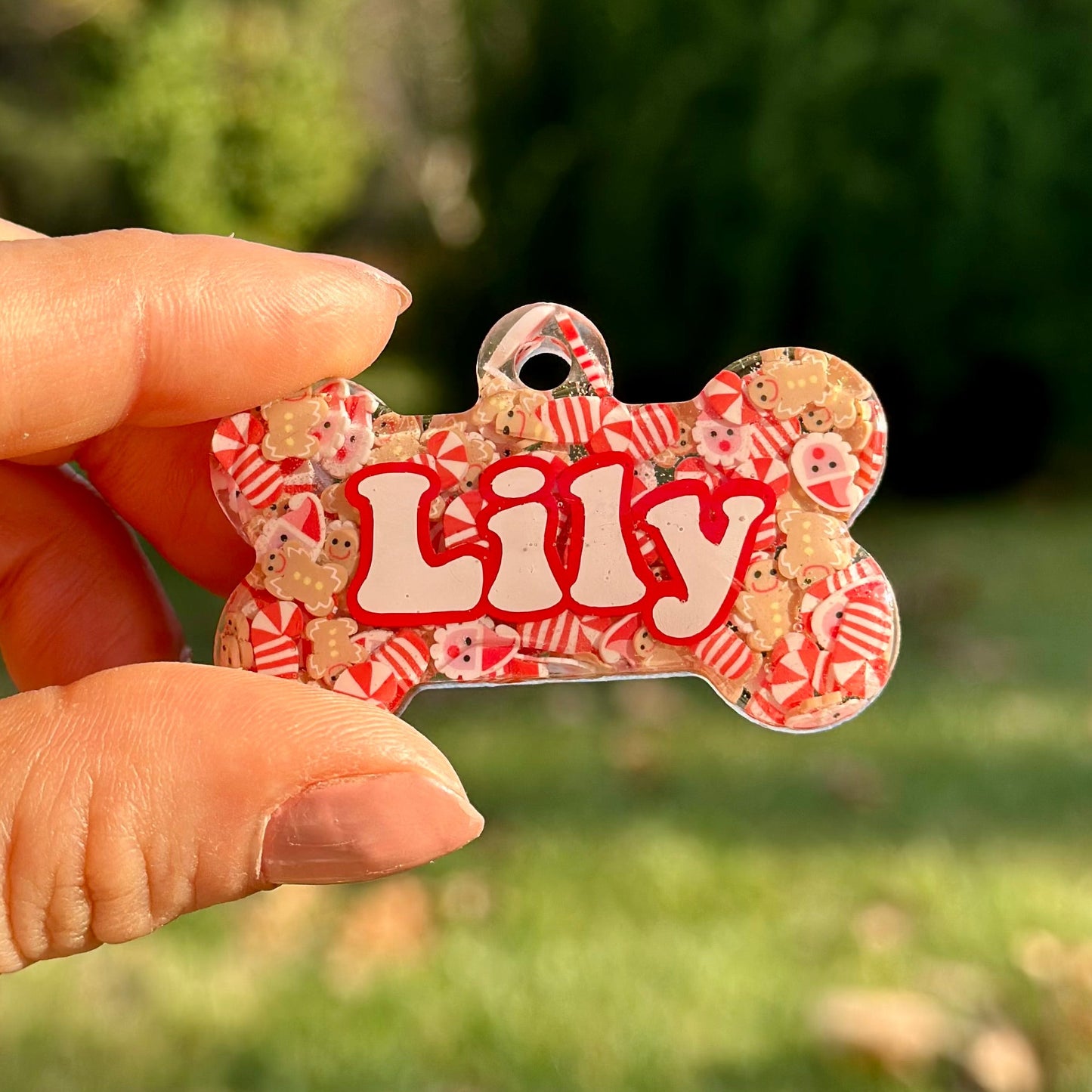 Gingerbread | İsimli Kedi Künyesi