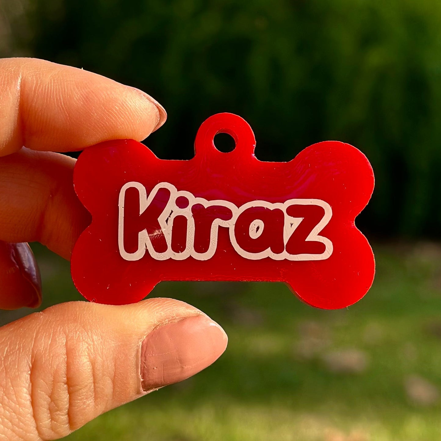 Cardinal | İsimli Kedi Künyesi