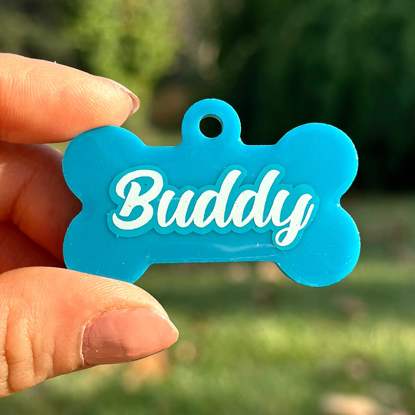 Uranus | İsimli Kedi Künyesi