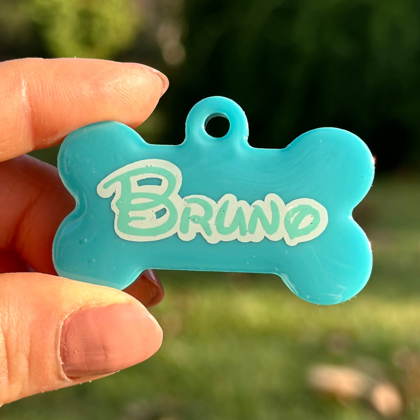 Lisa | İsimli Köpek Künyesi