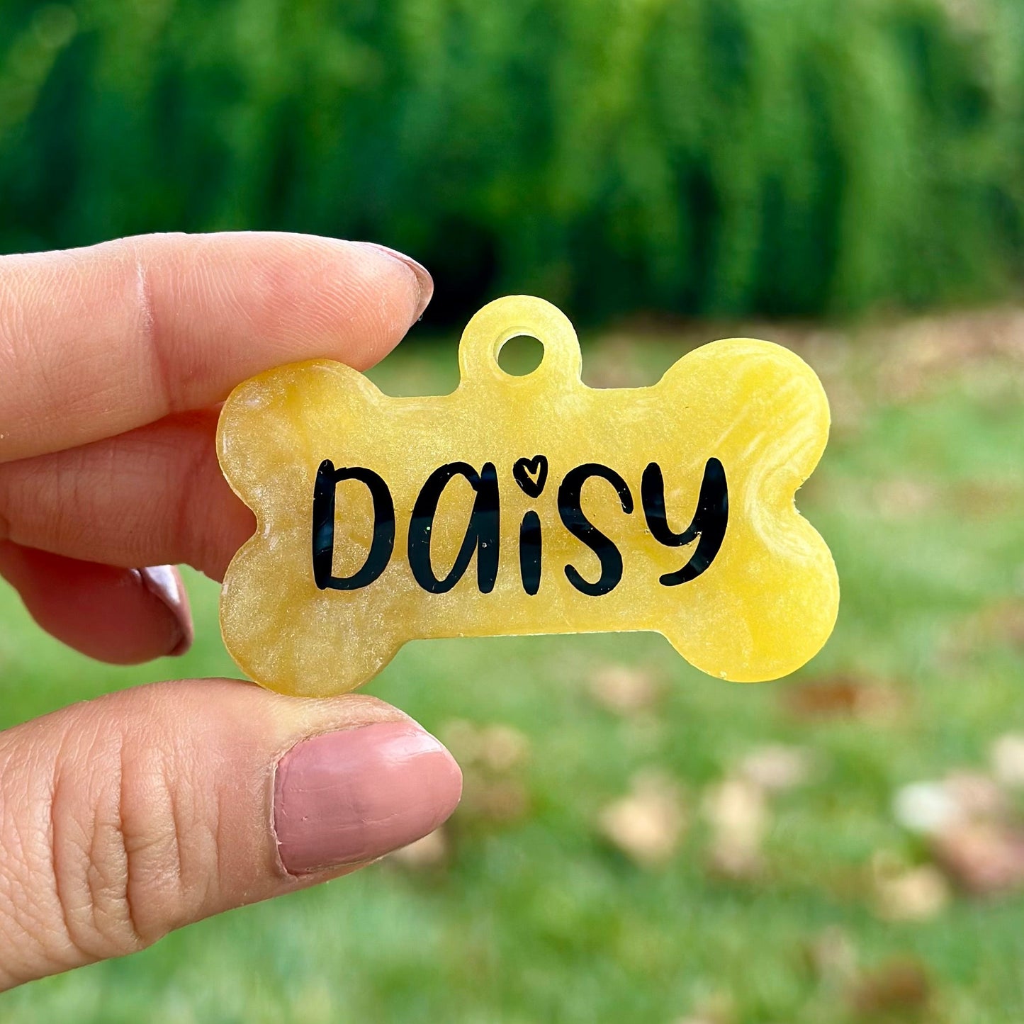 Laurus | İsimli Kedi Künyesi