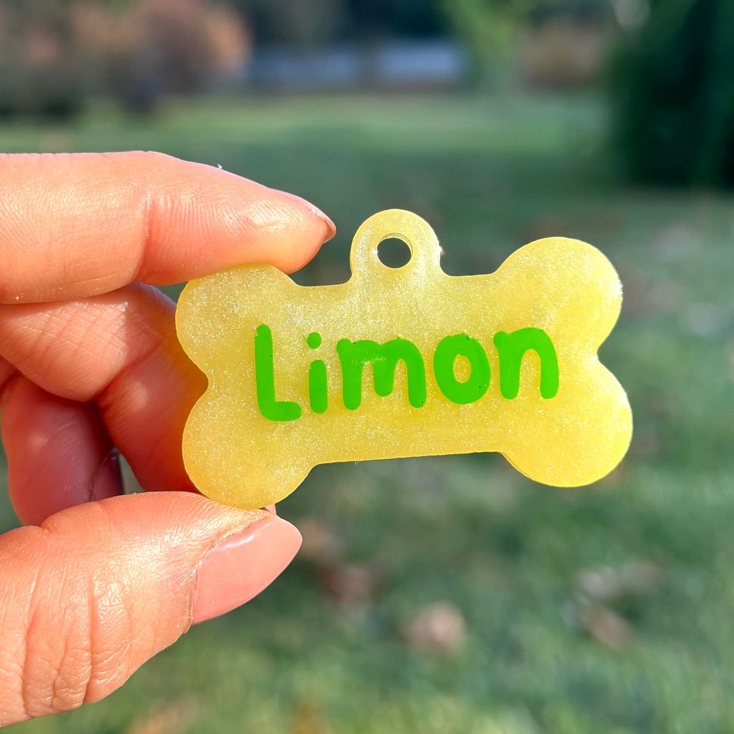 Sulfur | İsimli Kedi Künyesi