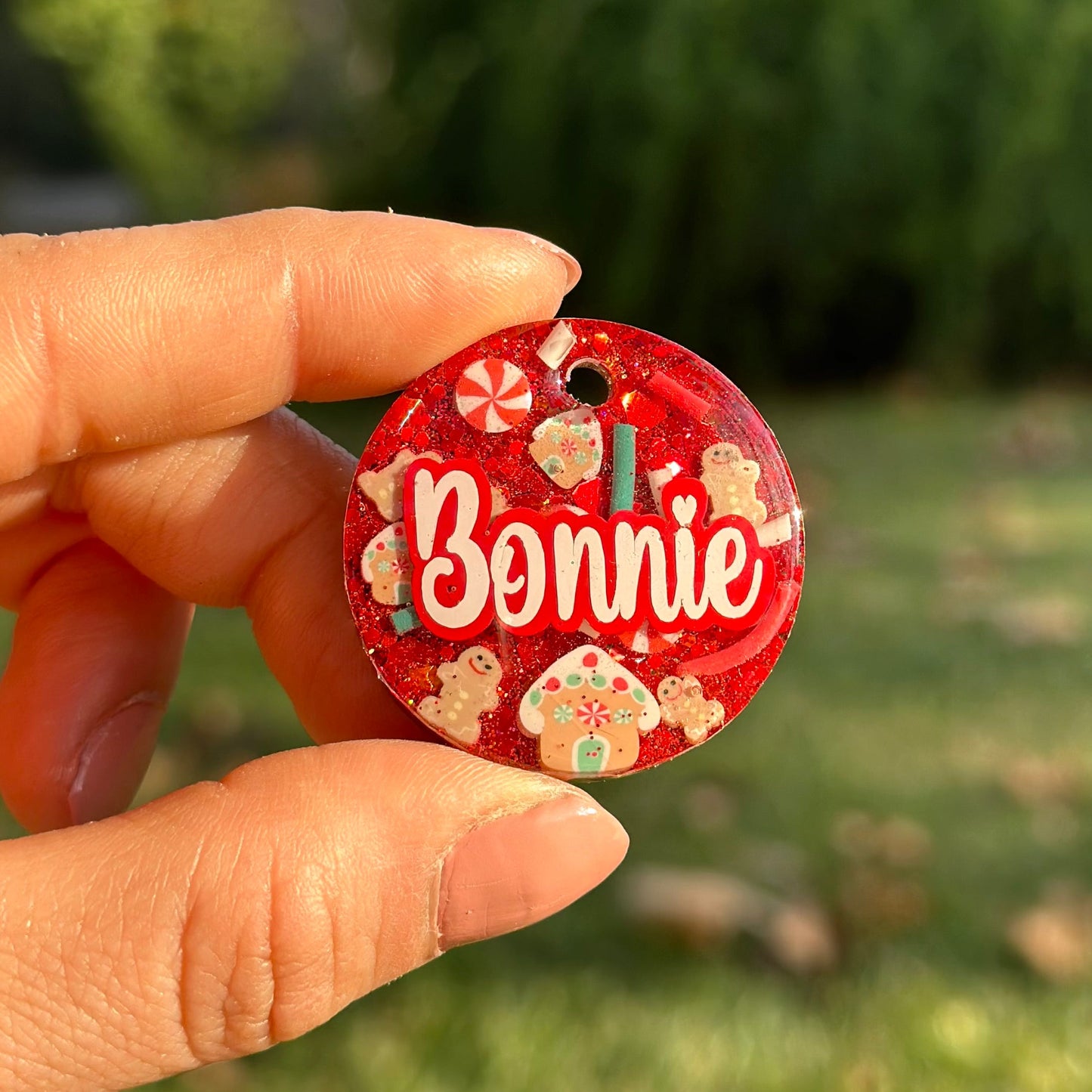 Merry | İsimli Köpek Künyesi