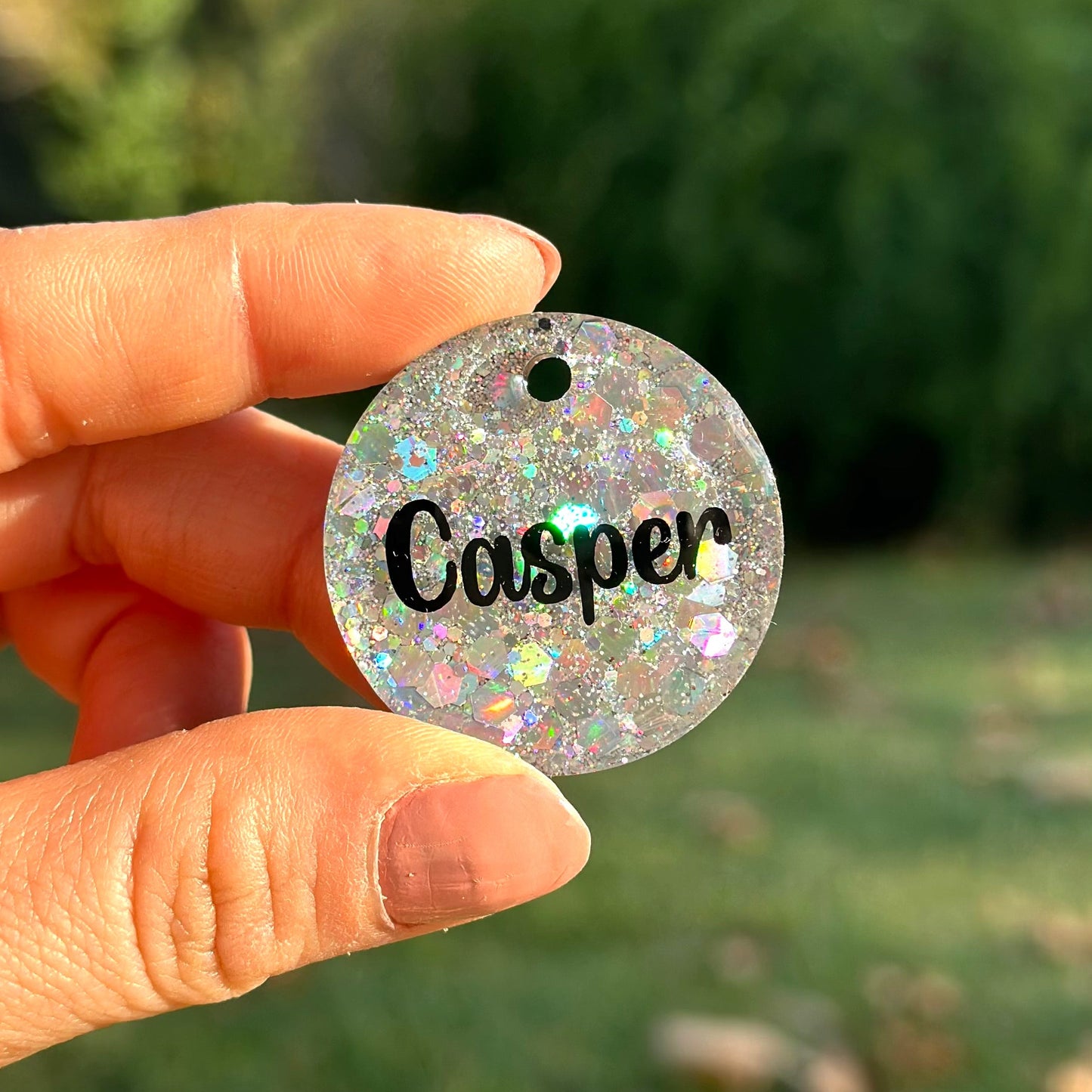 Sirius | İsimli Kedi Künyesi