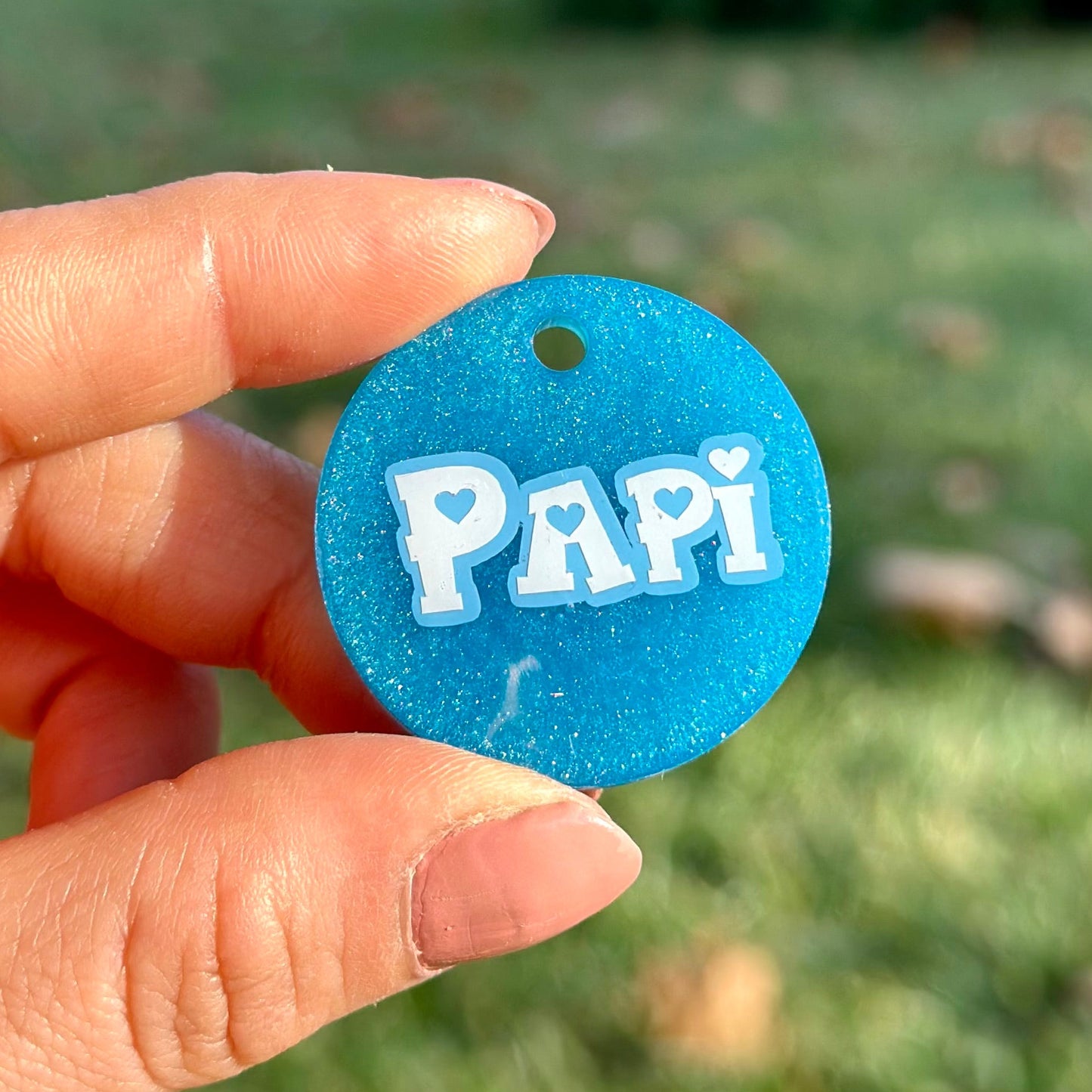 Sky | İsimli Kedi Künyesi