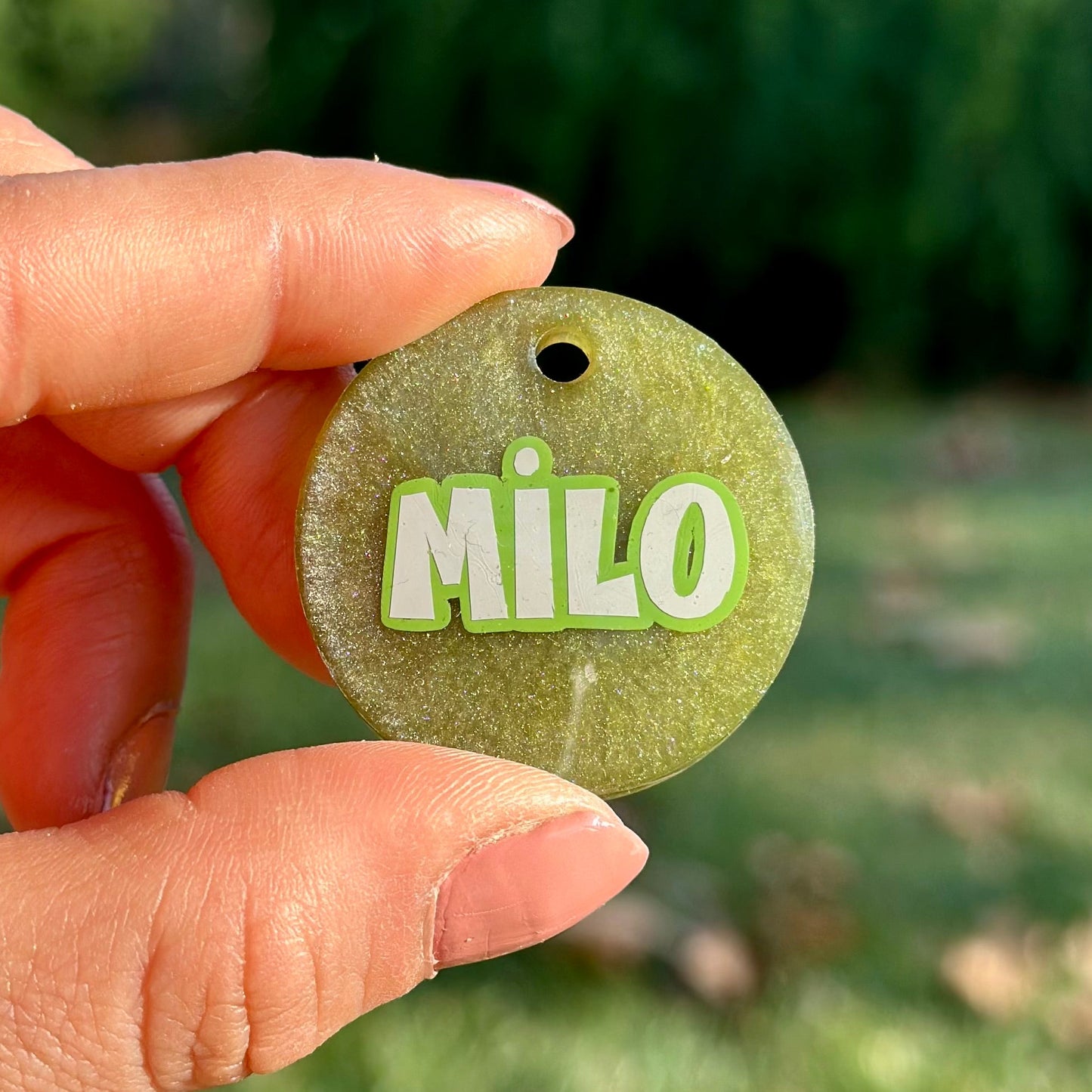 Zambia | İsimli Kedi Künyesi