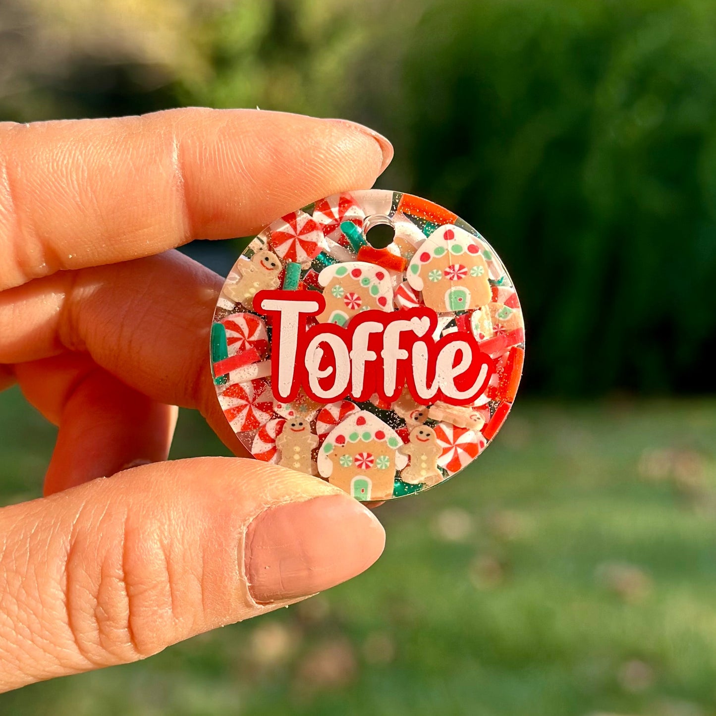 Holly | İsimli Köpek Künyesi