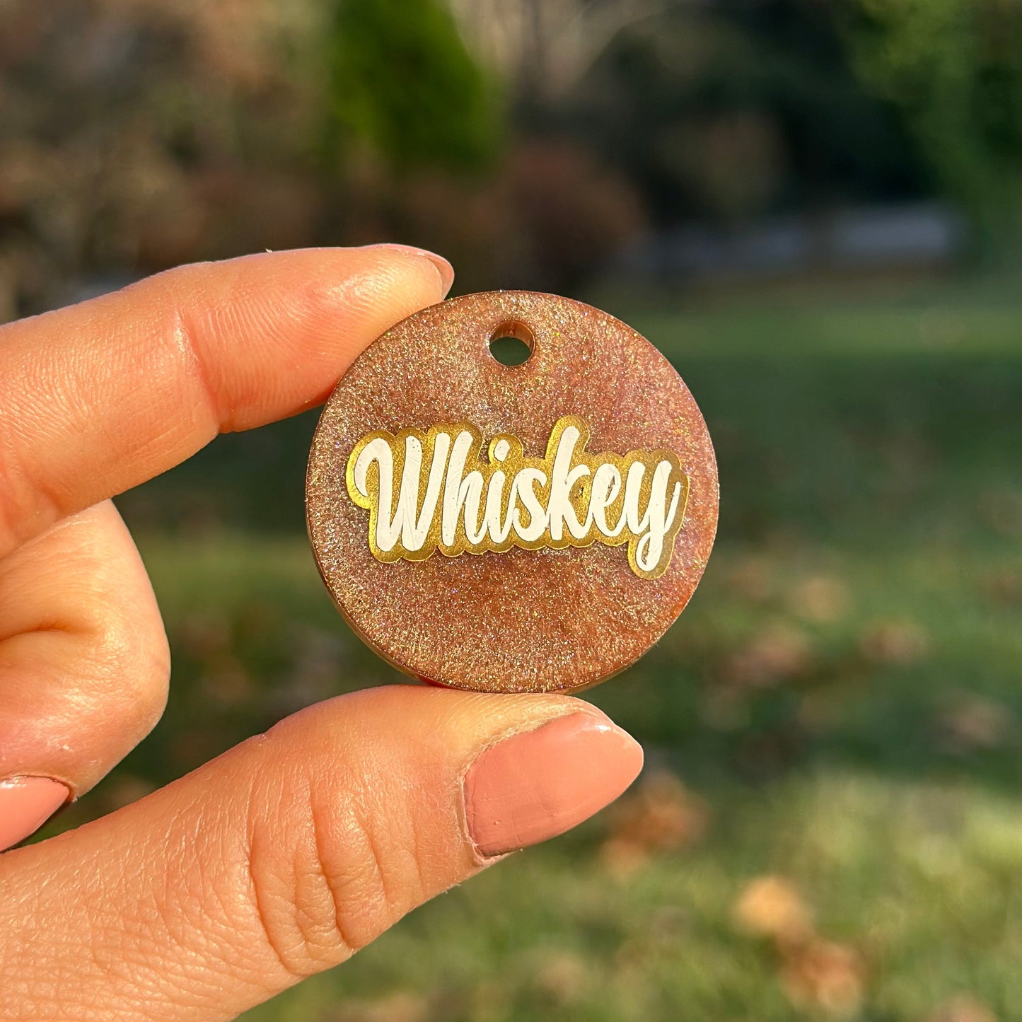 Troy | İsimli Köpek Künyesi