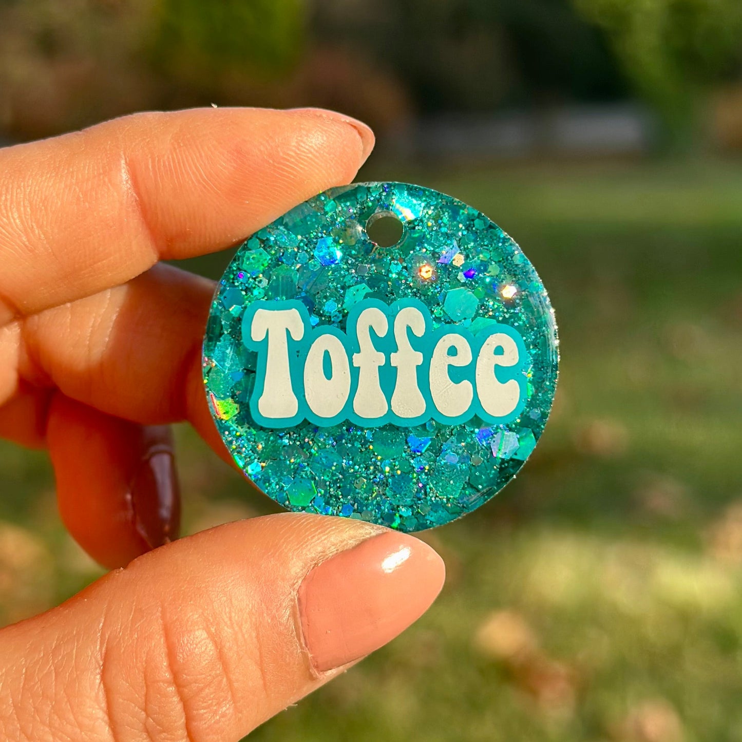 Posedion | İsimli Köpek Künyesi